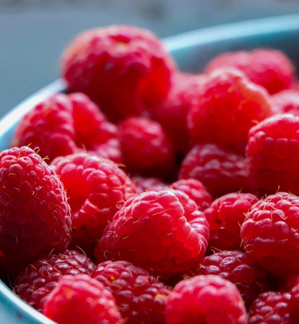 Bowl of raspberry Bowl full of raspberry